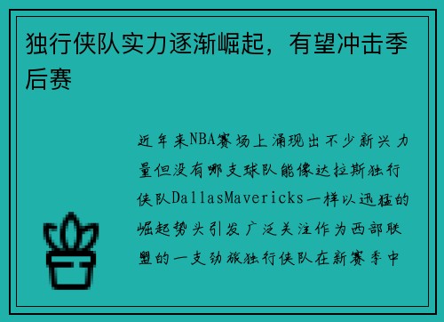 独行侠队实力逐渐崛起，有望冲击季后赛