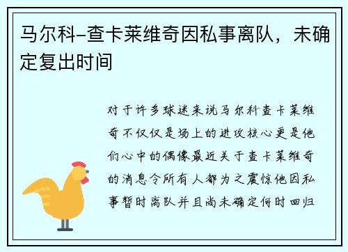 马尔科-查卡莱维奇因私事离队，未确定复出时间
