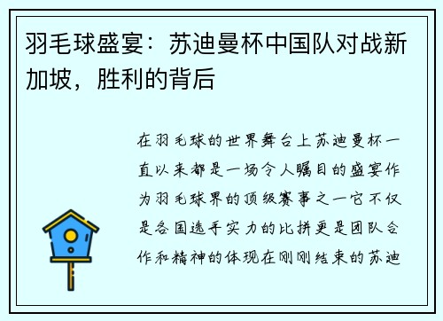 羽毛球盛宴：苏迪曼杯中国队对战新加坡，胜利的背后